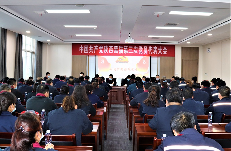 高質(zhì)量打造民營企業(yè)黨建工作新標桿