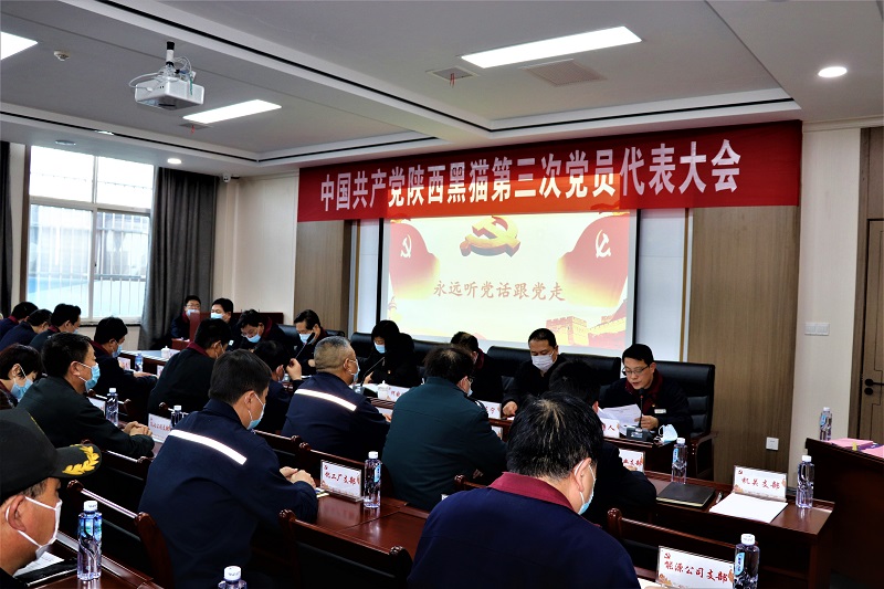 高質(zhì)量打造民營企業(yè)黨建工作新標桿