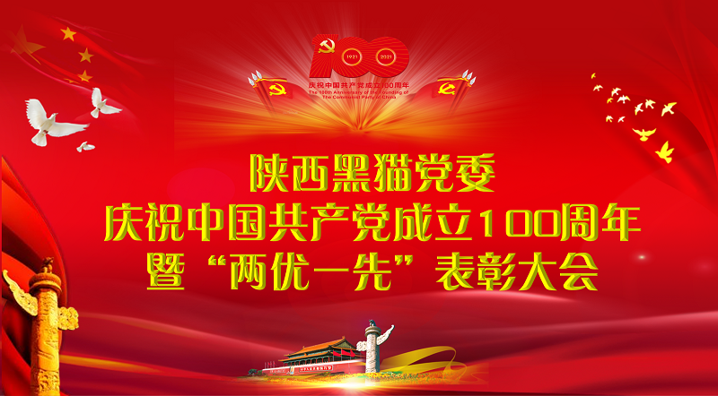 賡續(xù)紅色血脈  汲取前行力量  高質量打造民營上市公司黨建品牌