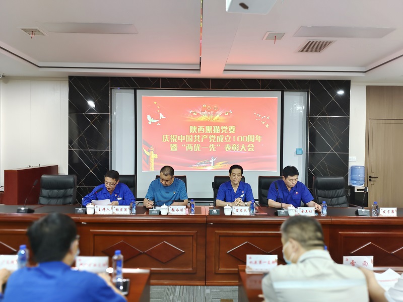 賡續(xù)紅色血脈  汲取前行力量  高質量打造民營上市公司黨建品牌