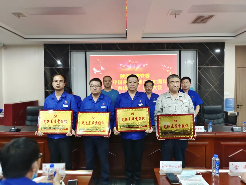 賡續(xù)紅色血脈  汲取前行力量  高質量打造民營上市公司黨建品牌