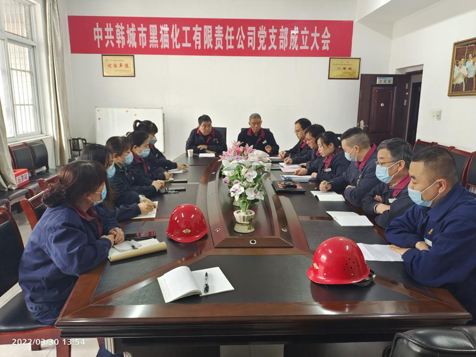 鍛鑄黨建品牌，打造標(biāo)桿企業(yè)