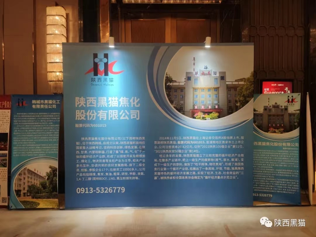 陜西黑貓受邀參加BDO及其衍生物發(fā)展論壇