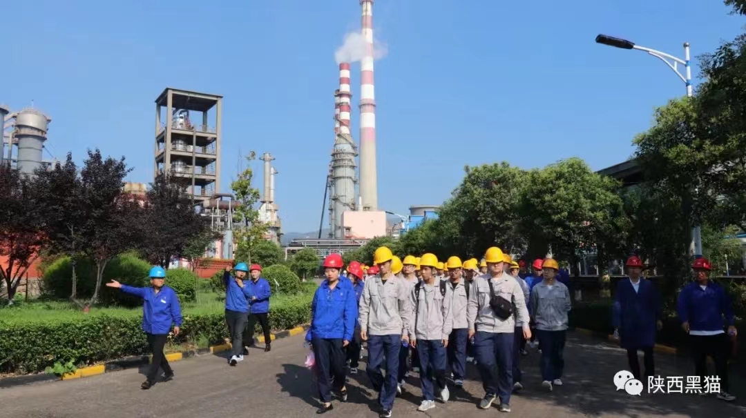 2022屆管培生之黑貓制造部掠影